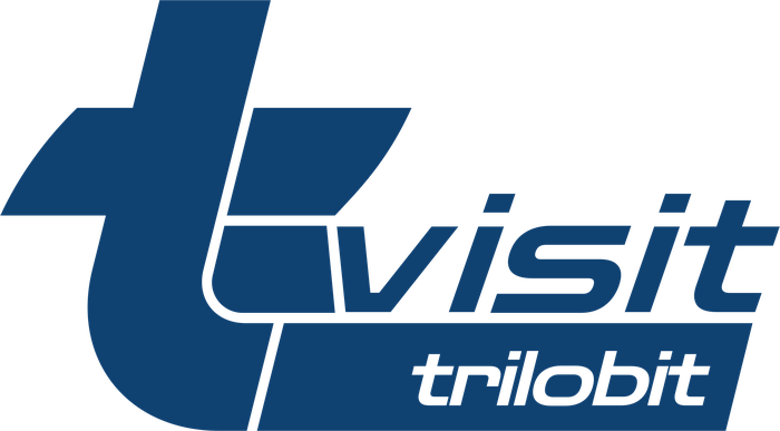 T-Visit